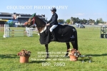BPP_7860