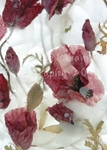 Faded Poppies