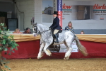 SBM_20119