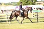 SBM_20264