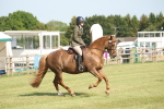 SBM_09772