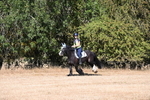 WJ6_7550