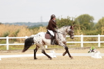 SBM_002746