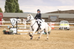 SBM_008219