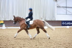 SBM_020730
