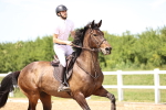 SBM_004565