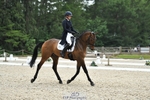 115-RNH_ULTIMATE-Harriet_Wright-WEDTrotUp+DR portfolio