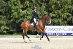 325-LONESTAR-Thomas_Hawke-WEDTrotUp+DR portfolio