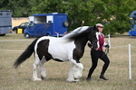WJ6_6513