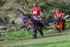 Dovedale-2267
