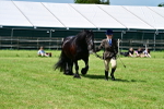 SBM_08068
