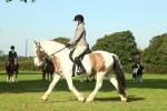 SBM_59904