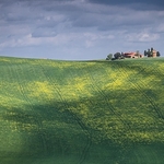 Landscape-070