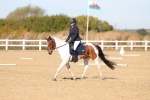 SBM_001410