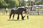 SBM_16086