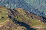 Lords Seat-10