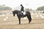 SBM_004013
