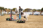 SBM_007542