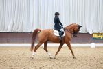 SBM_021334