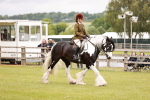 SBM_06209