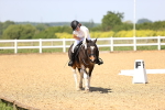 SBM_008601