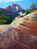 Zion National Park Utah USA