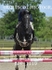 BPP_1119