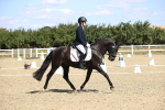 SBM_014004