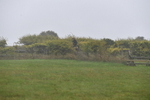 WJ5_7354