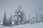 Photo of the Week 12/19/2011