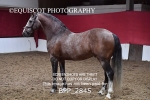 BPP_2845