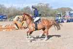 BPP_5119
