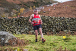 Stybarrow Dodd-784
