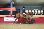 SBM_05188