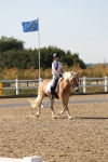 SBM_006928