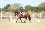 SBM_013951