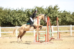 SBM_000257