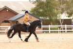 SBM_18229