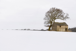 Long Rake barn