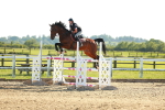 SBM_003353