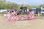 BPP_3231
