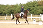 SBM_007193