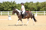 SBM_008594