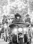 LEADER OF THE PACK -  PORT DOVER, JULY 2018