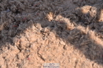 230606A-160217-00011