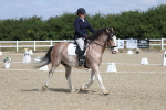 SBM_020911