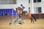 SBM_002628
