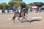 BPP_8526