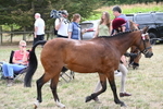 WJ6_5909