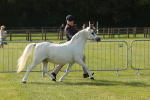 SBM_00639